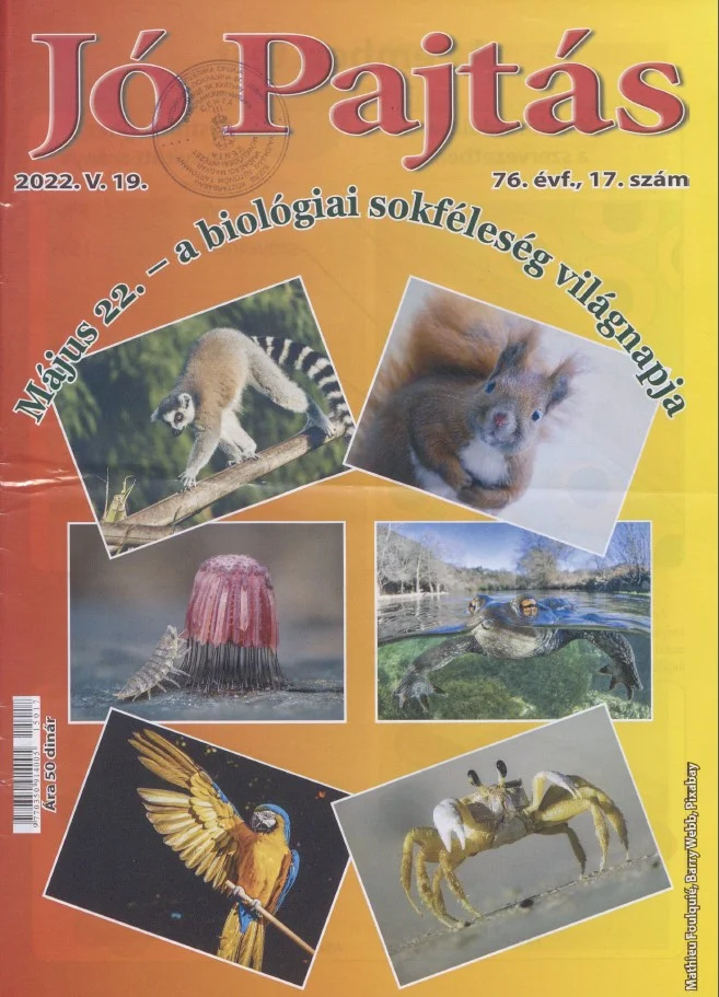 Jó Pajtás, 76. évf. 2022. május 19. 17. sz.