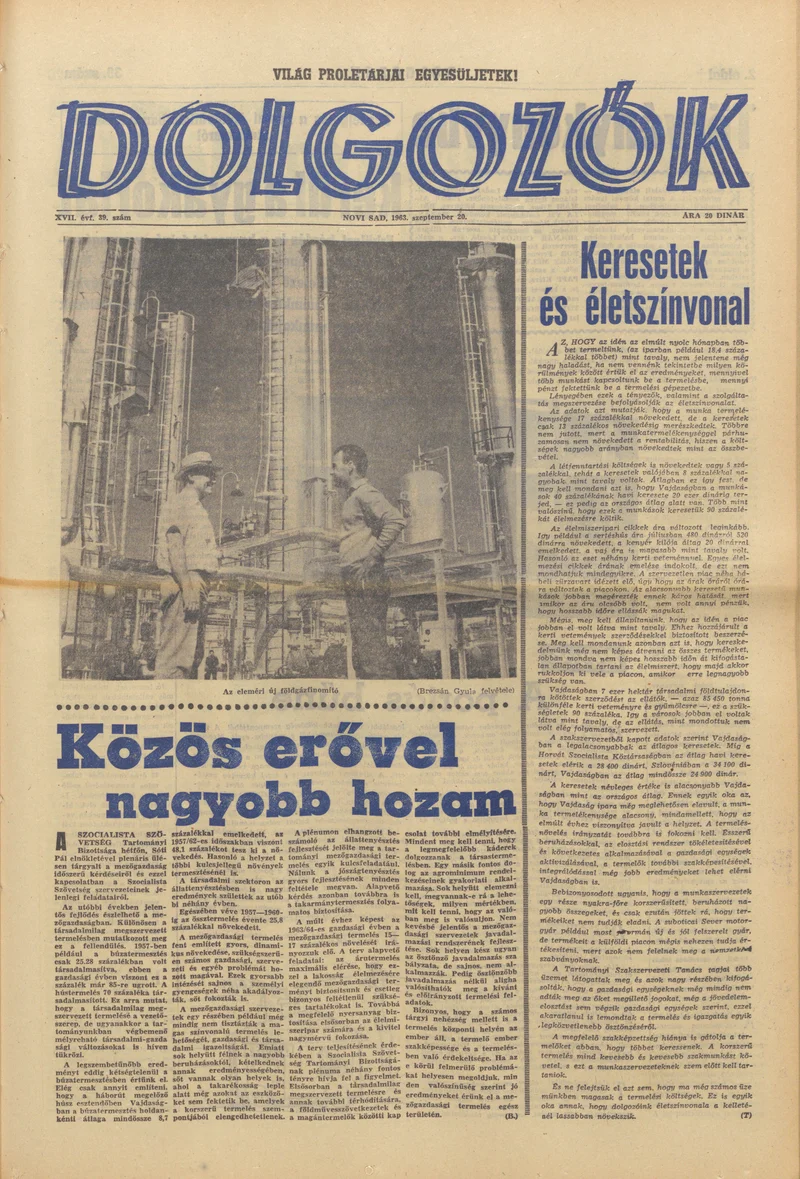 Dolgozók, 17. évf. 1963. szeptember 20. 39. sz.