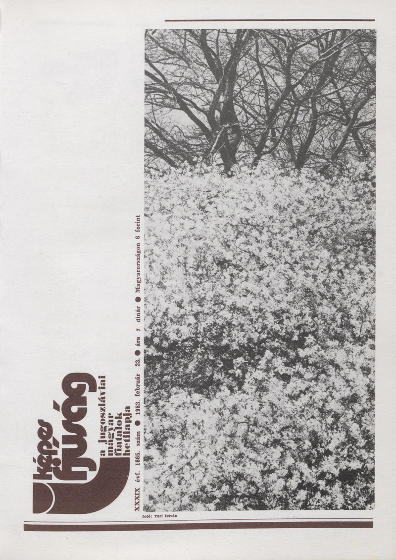 Képes Ifjúság, 39. évf. 1983. február 23. 1665. sz.