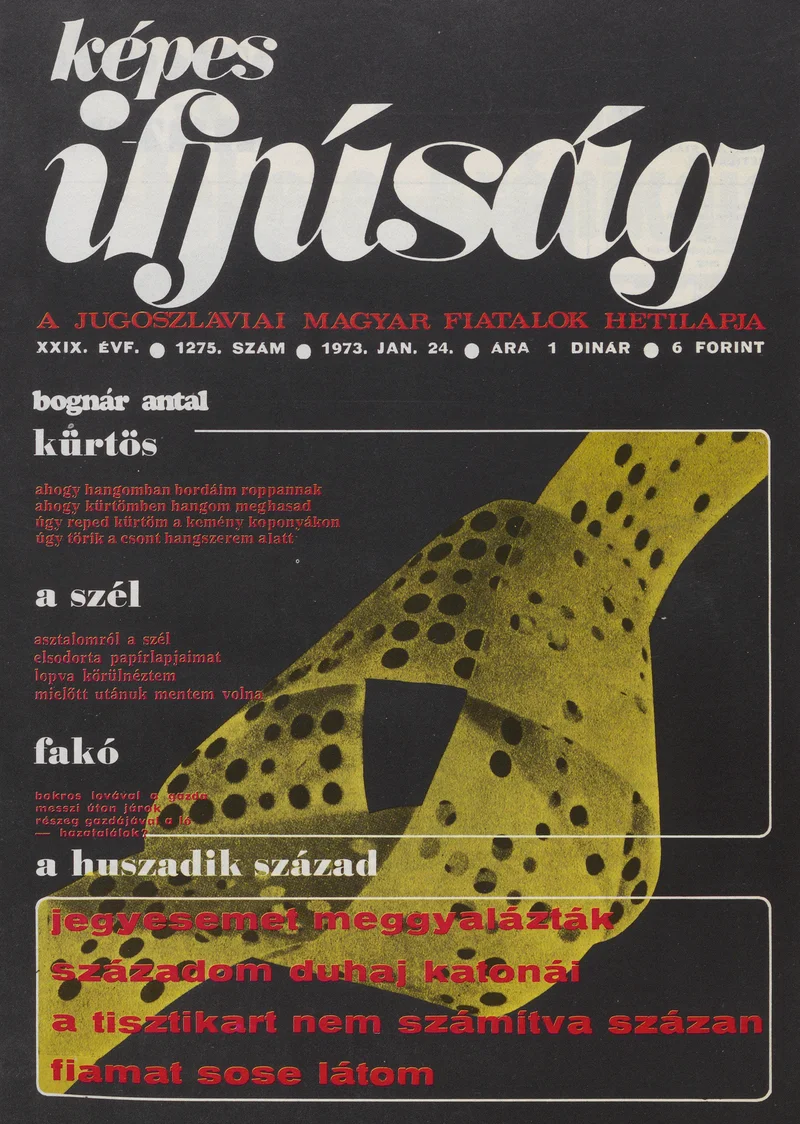 Képes Ifjúság, 29. évf. 1973. január 24. 1275. sz.