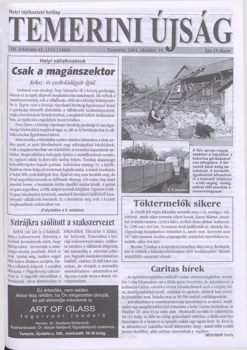 Temerini Újság, 7. évf. 2001. október 18. 42. sz.