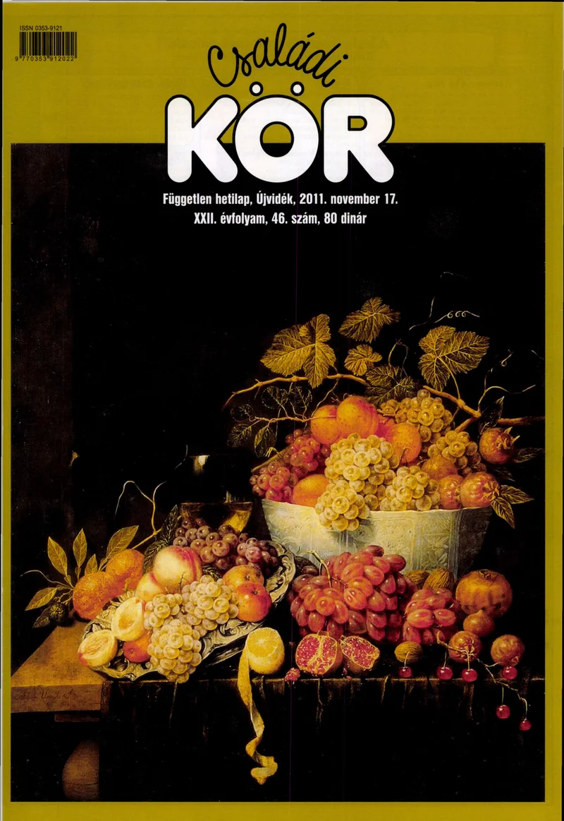 Családi Kör, 22. évf. 2011. november 17. 46. sz.