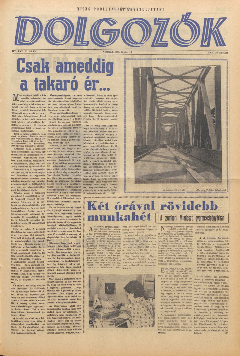 Dolgozók, 15. évf. 1961. június 16. 25. sz.