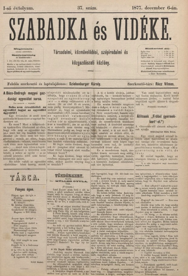 Szabadka és vidéke, 1. évf. 1877. december 6. 37. sz.