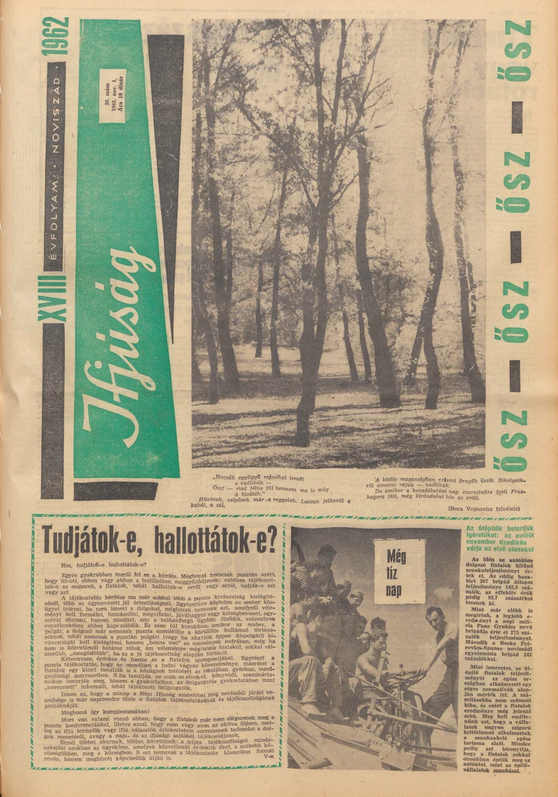 Ifjúság, 18. évf. 1962. november 1. 36. sz.
