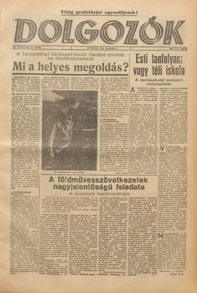 Dolgozók, 9. évf. 1955. november 1. 43. sz.