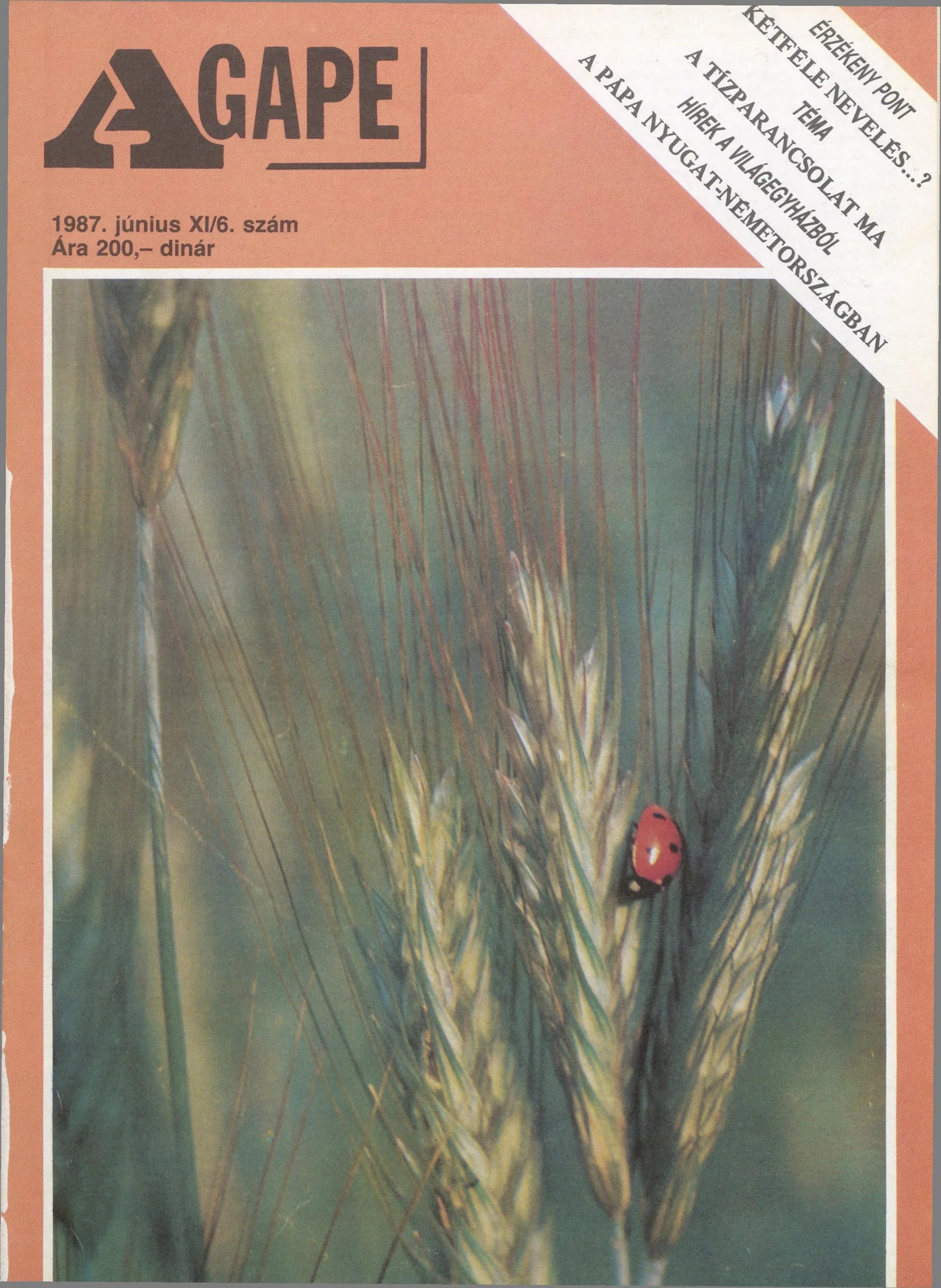 Agape, 11. évf. 1987. június. 6. sz.