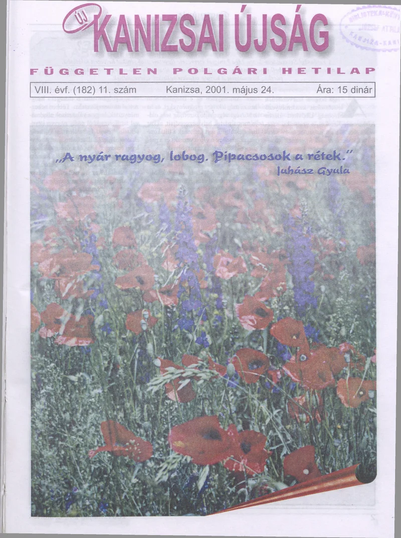 Új Kanizsai Újság, 8. évf. 2001. május 24. 11. sz.