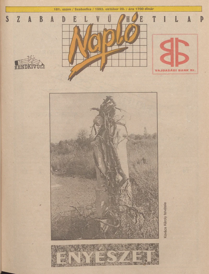 Napló - Szabadelvű hetilap, 4. évf. 1993. október 20. 181. sz.