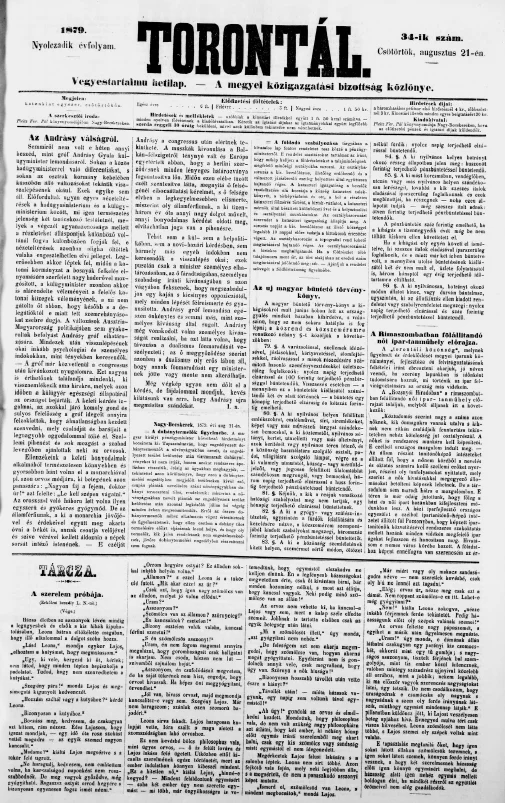 Torontál, 8. évf. 1879. augusztus 21. 34. sz.