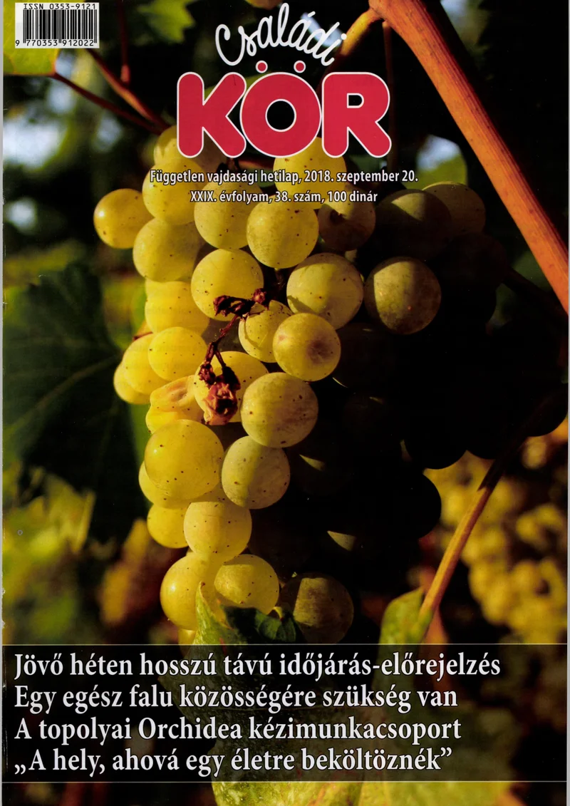 Családi Kör, 29. évf. 2018. szeptember 20. 38. sz.