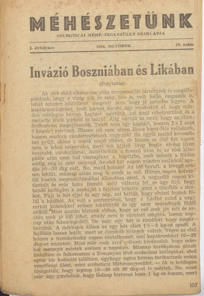 Méhészetünk, 1. évf. 1954. október 1. 10. sz.