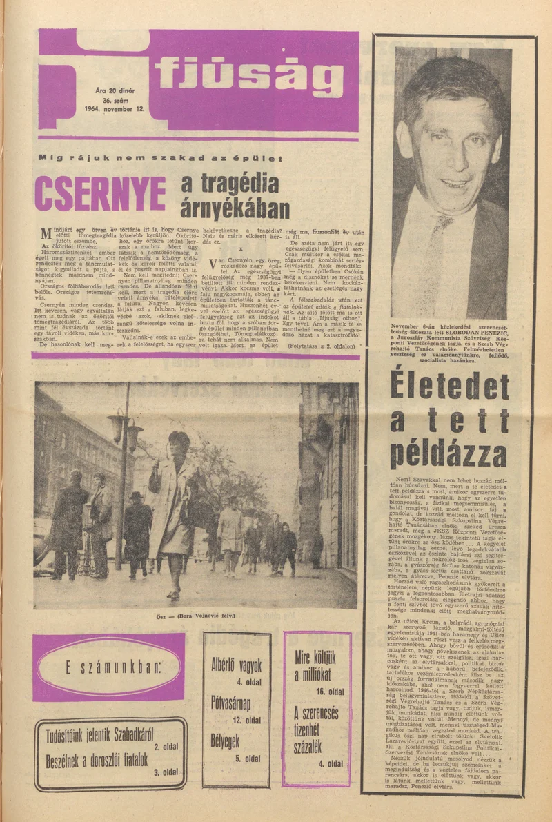 Ifjúság, 20. évf. 1964. november 12. 36. sz.