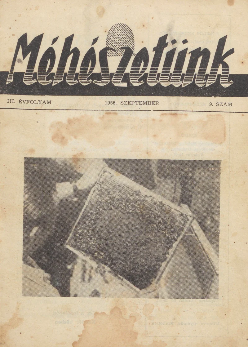 Méhészetünk, 3. évf. 1956. szeptember 1. 9. sz.