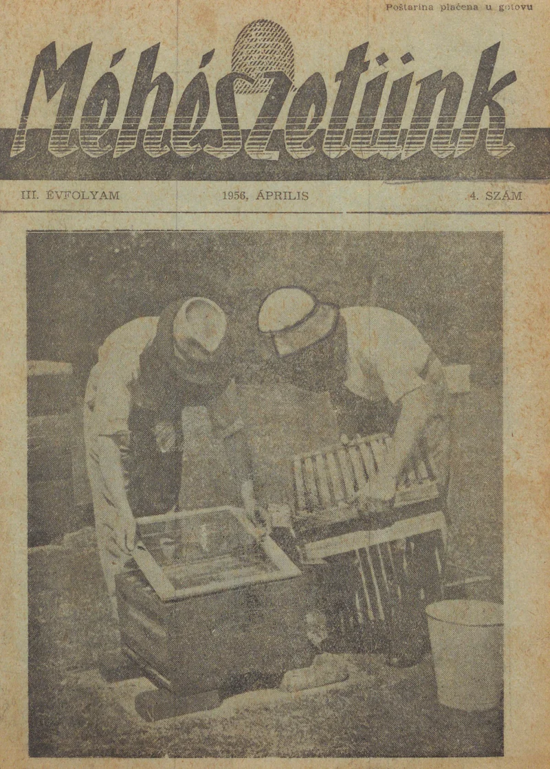 Méhészetünk, 3. évf. 1956. április 1. 4. sz.