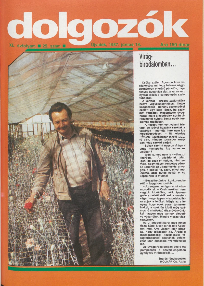 Dolgozók, 41. évf. 1987. június 18. 25. sz.