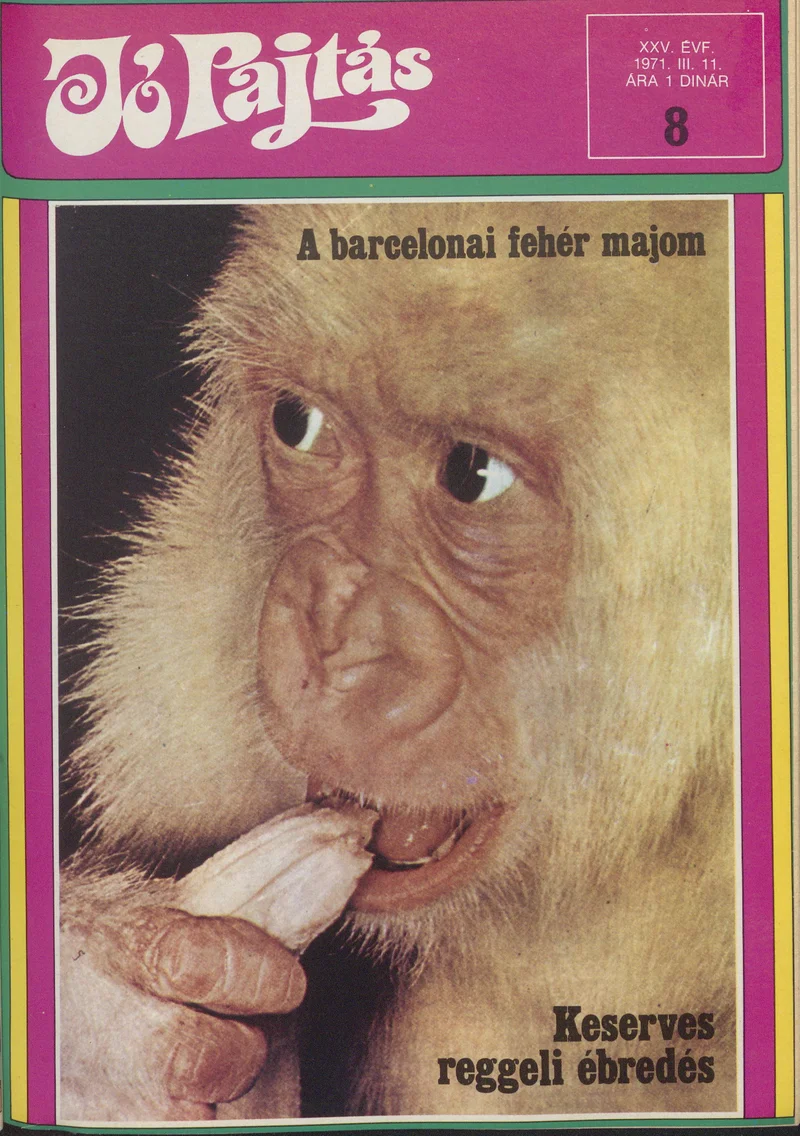 Jó Pajtás, 25. évf. 1971. március 11. 8. sz.