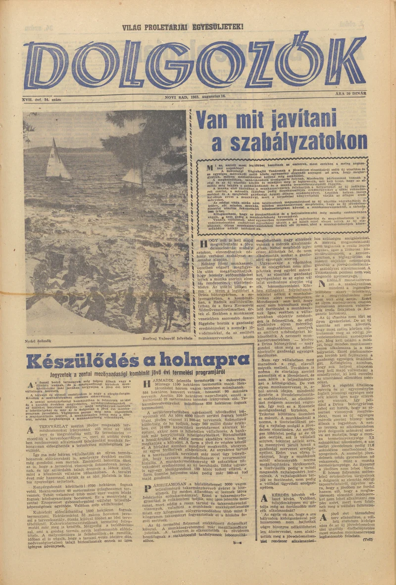 Dolgozók, 17. évf. 1963. augusztus 16. 34. sz.