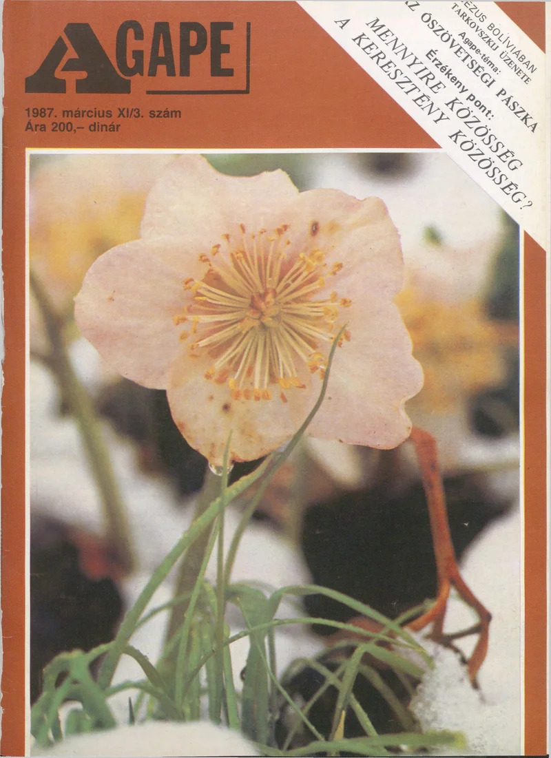 Agape, 11. évf. 1987. március. 3. sz.