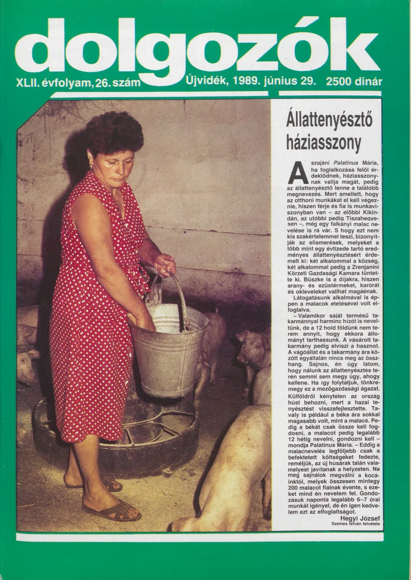 Dolgozók, 43. évf. 1989. június 29. 26. sz.